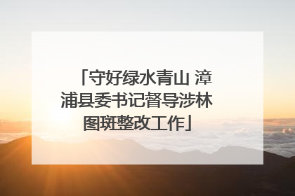 守好绿水青山 漳浦县委书记督导涉林图斑整改工作