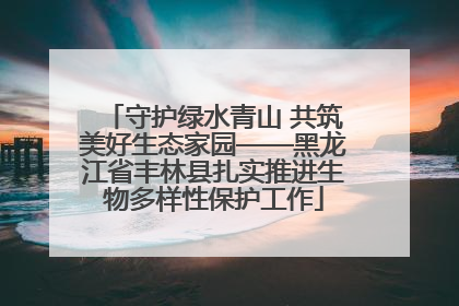 守护绿水青山 共筑美好生态家园——黑龙江省丰林县扎实推进生物多样性保护工作