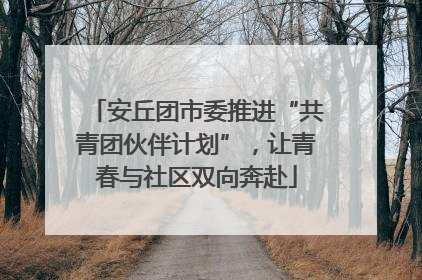 安丘团市委推进“共青团伙伴计划”，让青春与社区双向奔赴