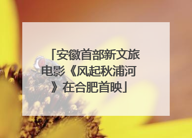 安徽首部新文旅电影《风起秋浦河》在合肥首映