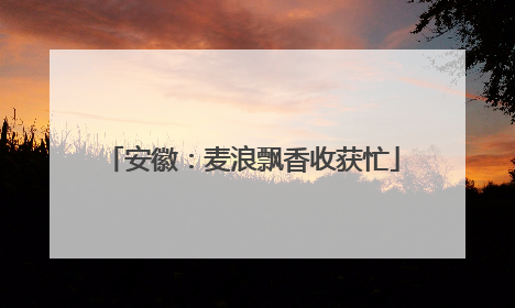 安徽：麦浪飘香收获忙