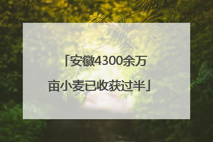 安徽4300余万亩小麦已收获过半