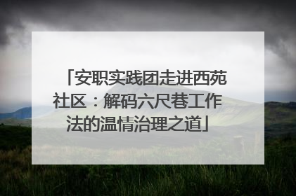 安职实践团走进西苑社区：解码六尺巷工作法的温情治理之道