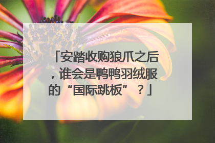 安踏收购狼爪之后，谁会是鸭鸭羽绒服的“国际跳板”？