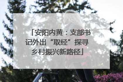安阳内黄：支部书记外出“取经”探寻乡村振兴新路径
