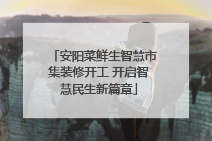 安阳菜鲜生智慧市集装修开工 开启智慧民生新篇章