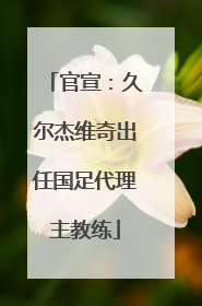官宣：久尔杰维奇出任国足代理主教练