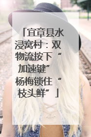 宜章县水浸窝村：双物流按下“加速键” 杨梅锁住“枝头鲜”