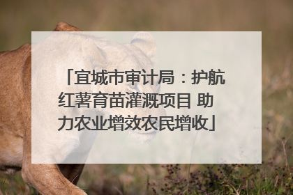 宜城市审计局：护航红薯育苗灌溉项目 助力农业增效农民增收