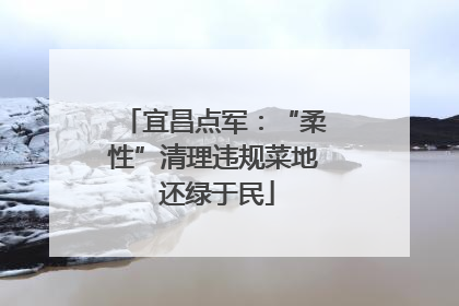 宜昌点军：“柔性”清理违规菜地 还绿于民