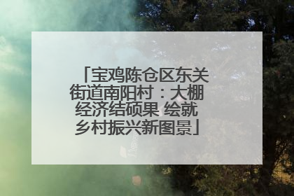 宝鸡陈仓区东关街道南阳村：大棚经济结硕果 绘就乡村振兴新图景