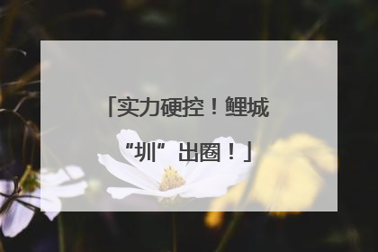实力硬控！鲤城“圳”出圈！