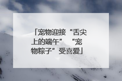 宠物迎接“舌尖上的端午” “宠物粽子”受喜爱