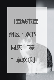 宣城市宣州区：双节同庆 “粽”享欢乐