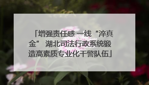 增强责任感 一线“淬真金” 湖北司法行政系统锻造高素质专业化干警队伍