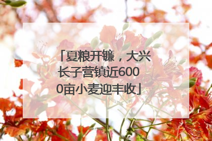 夏粮开镰，大兴长子营镇近6000亩小麦迎丰收