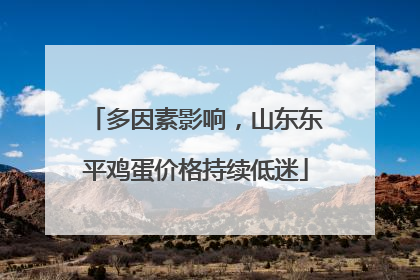 多因素影响，山东东平鸡蛋价格持续低迷