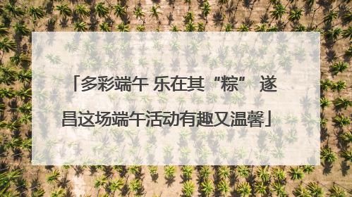 多彩端午 乐在其“粽” 遂昌这场端午活动有趣又温馨