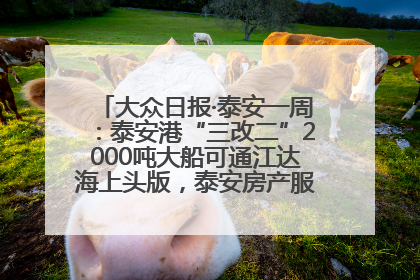 大众日报·泰安一周：泰安港“三改二”2000吨大船可通江达海上头版，泰安房产服务改革经验全省推广