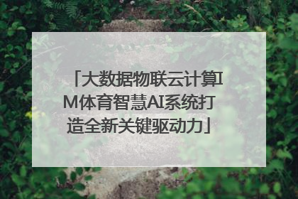 大数据物联云计算IM体育智慧AI系统打造全新关键驱动力