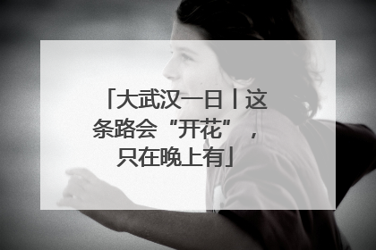 大武汉一日丨这条路会“开花”，只在晚上有