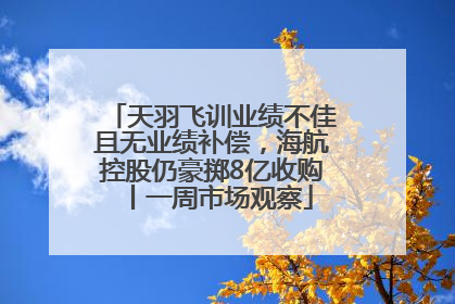 天羽飞训业绩不佳且无业绩补偿，海航控股仍豪掷8亿收购丨一周市场观察