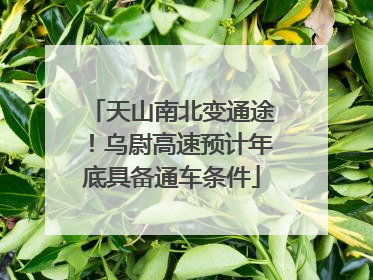 天山南北变通途！乌尉高速预计年底具备通车条件