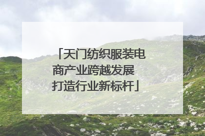 天门纺织服装电商产业跨越发展 打造行业新标杆