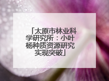 太原市林业科学研究所：小叶杨种质资源研究实现突破