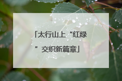 太行山上“红绿”交织新篇章