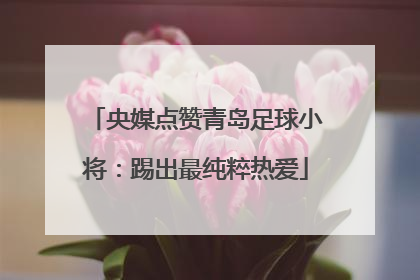 央媒点赞青岛足球小将：踢出最纯粹热爱