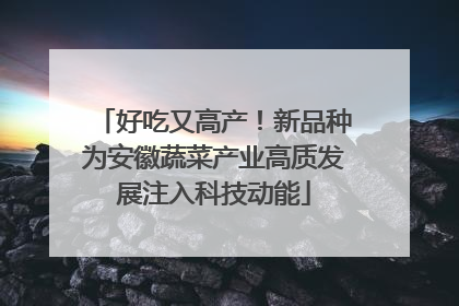 好吃又高产！新品种为安徽蔬菜产业高质发展注入科技动能