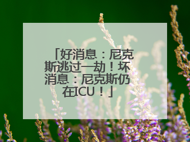 好消息：尼克斯逃过一劫！坏消息：尼克斯仍在ICU！
