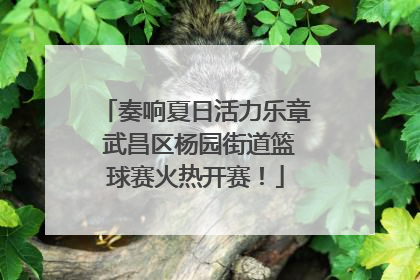 奏响夏日活力乐章 武昌区杨园街道篮球赛火热开赛！