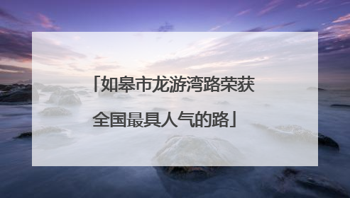如皋市龙游湾路荣获全国最具人气的路