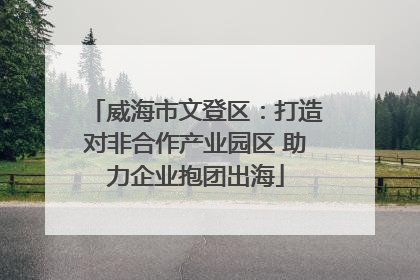 威海市文登区：打造对非合作产业园区 助力企业抱团出海