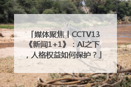 媒体聚焦丨CCTV13《新闻1+1》：AI之下，人格权益如何保护？