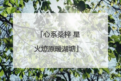 心系桑梓 星火燎原暖湖塘