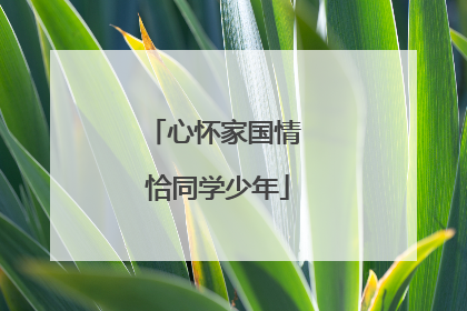 心怀家国情 恰同学少年