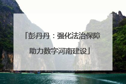彭丹丹：强化法治保障 助力数字河南建设