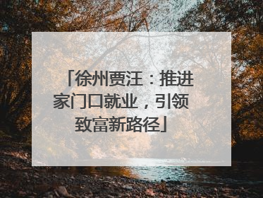 徐州贾汪：推进家门口就业，引领致富新路径