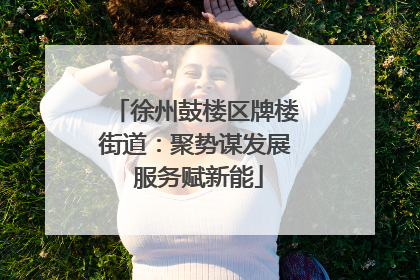 徐州鼓楼区牌楼街道：聚势谋发展 服务赋新能
