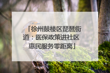 徐州鼓楼区琵琶街道：医保政策进社区 惠民服务零距离