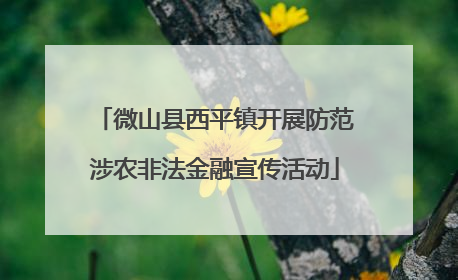 微山县西平镇开展防范涉农非法金融宣传活动