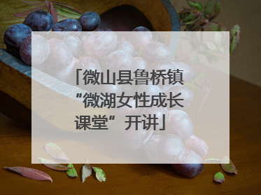 微山县鲁桥镇“微湖女性成长课堂”开讲
