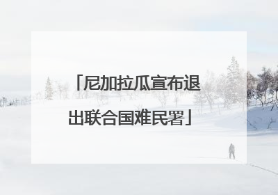 尼加拉瓜宣布退出联合国难民署