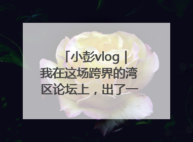 小彭vlog｜我在这场跨界的湾区论坛上，出了一道高考题……