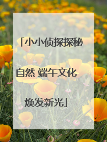 小小侦探探秘自然 端午文化焕发新光