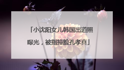 小沈阳女儿韩国出道照曝光，被指撞脸孔孝真