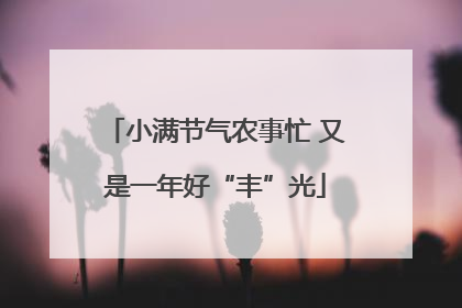 小满节气农事忙 又是一年好“丰”光